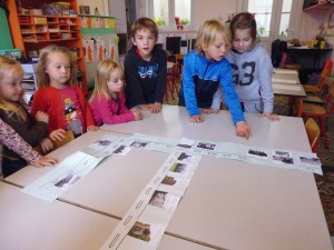 P1010780 - Copie